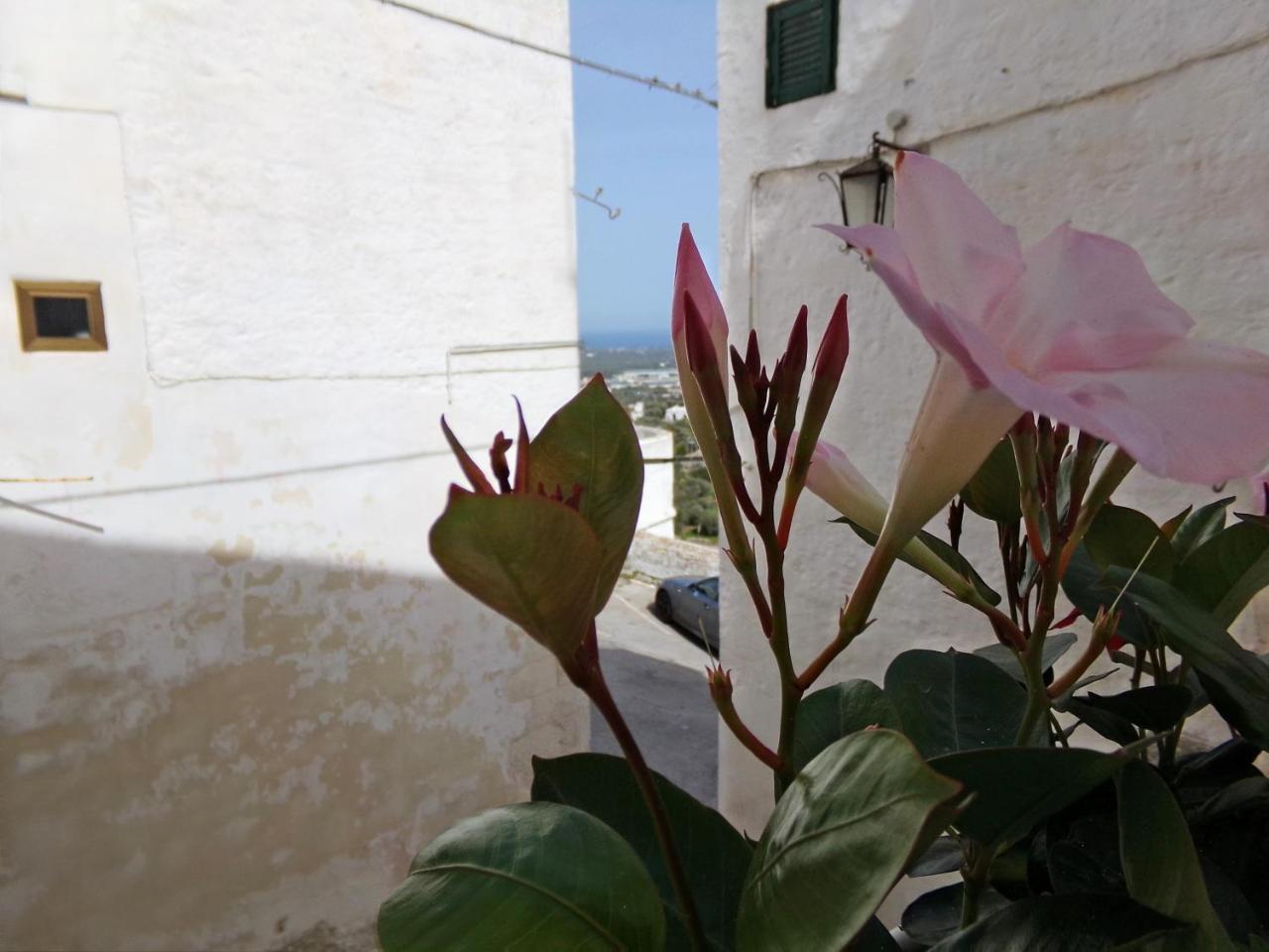 Le Tre Volte Βίλα Ostuni Εξωτερικό φωτογραφία